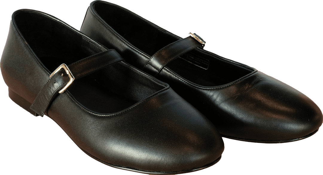 pair of violet mary jane shoes